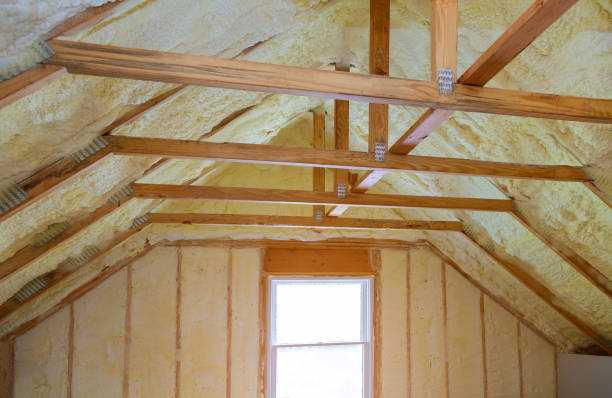 Best Insulation Installation Services in New Ellenton, SC